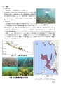 下関市安岡沖洋上風力発電プロジェクト　冬季調査結果報告書